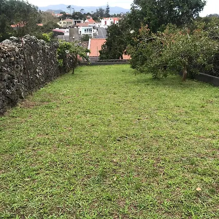 Casa Dos Cedros Semesterbostad Pico da Pedra